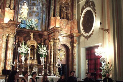 Majestuosas presentaciones