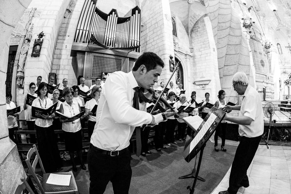 Bodas en Alicante