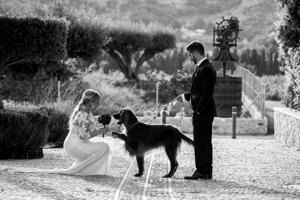 Bodas en Alicante