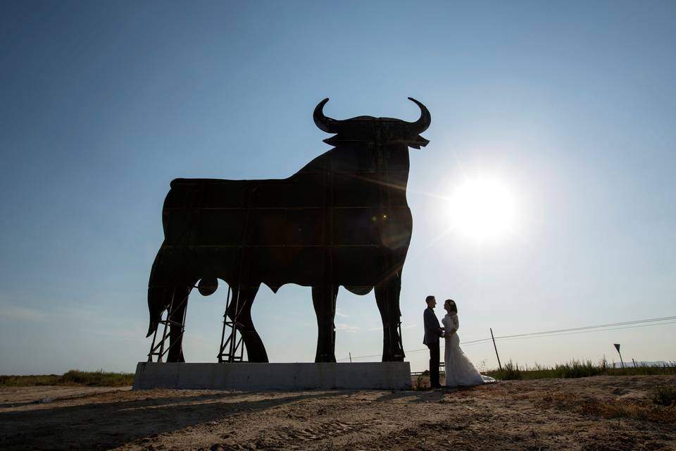 Bodas en Alicante