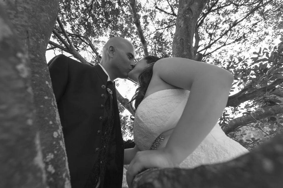 Postboda, en el árbol