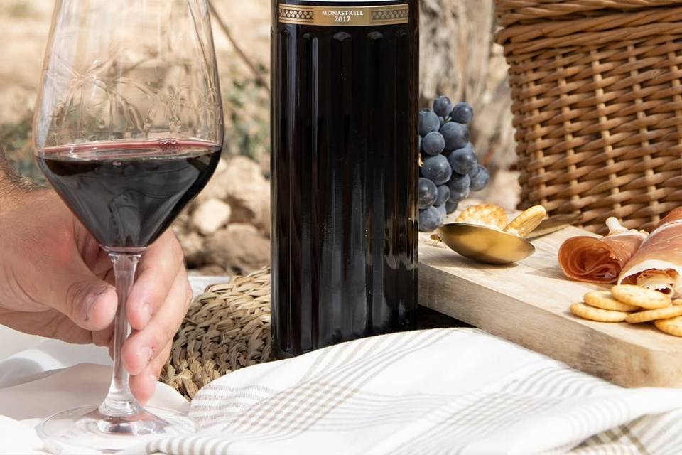 Bodegas Bocopa