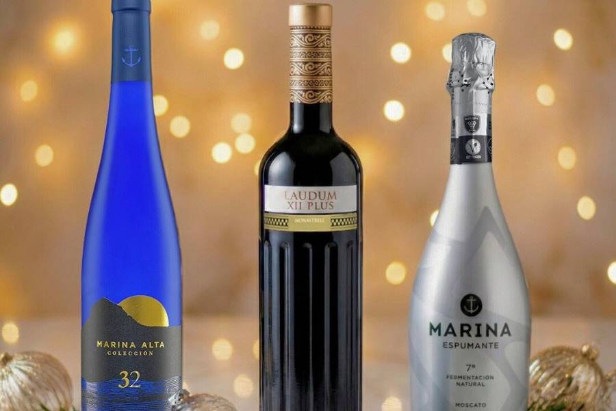 Bodegas Bocopa