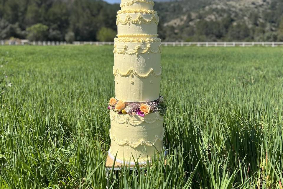 Big Cake