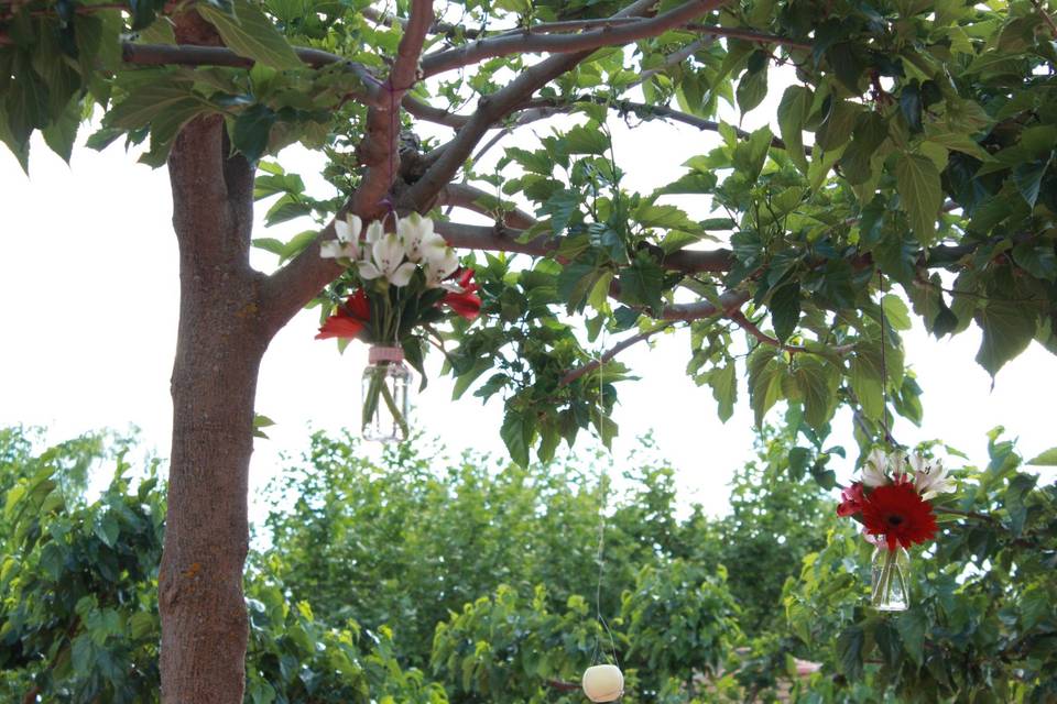 Decoración de árboles para boda