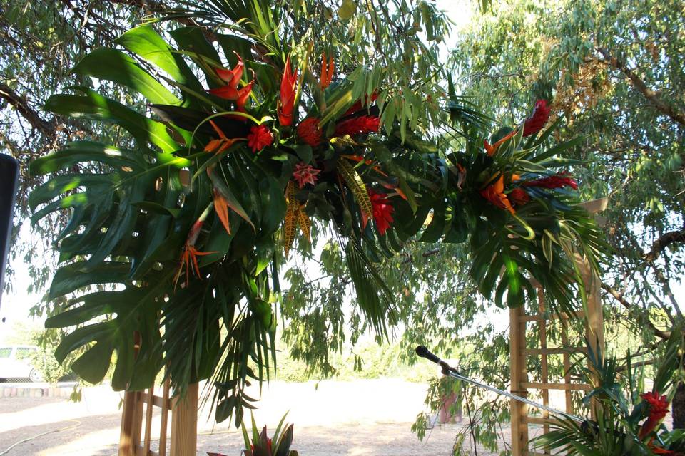 Arco de boda tropical