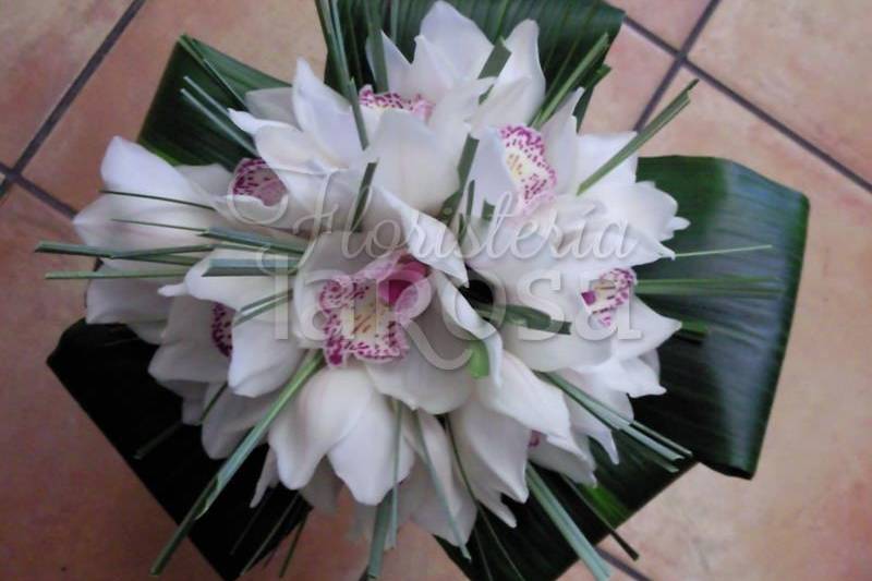 Ramo cymbidium