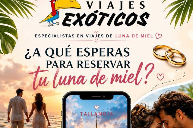 Tu Luna de Miel perfecta