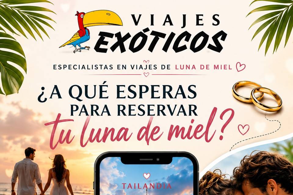Tu Luna de Miel perfecta