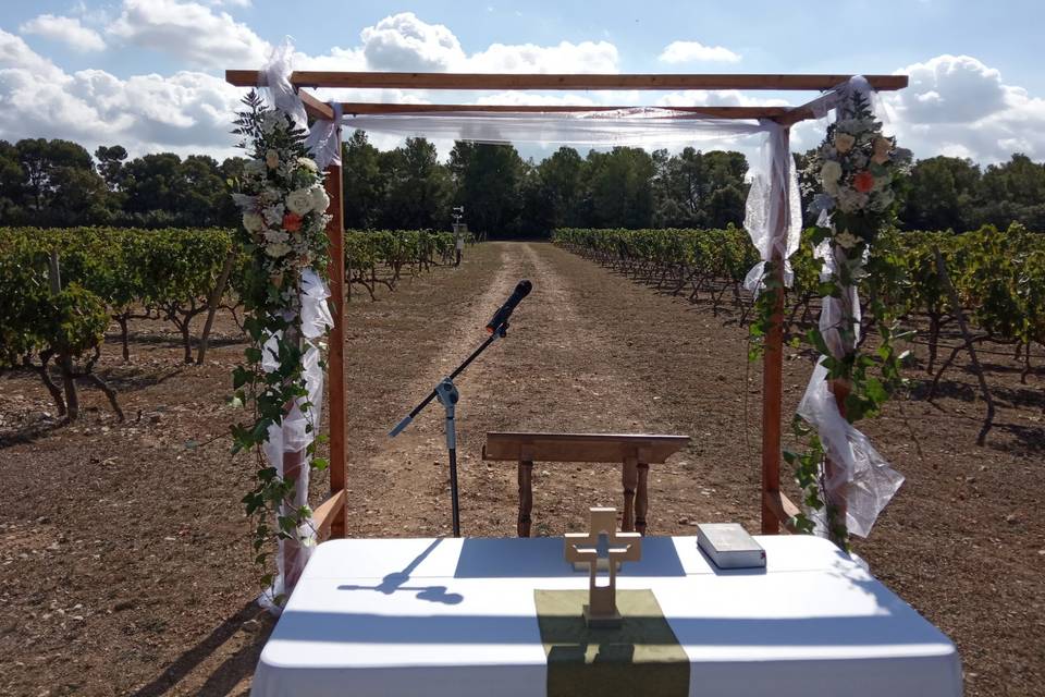 Boda en viñedo