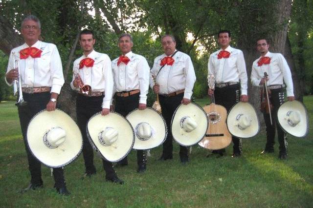 Mariachis