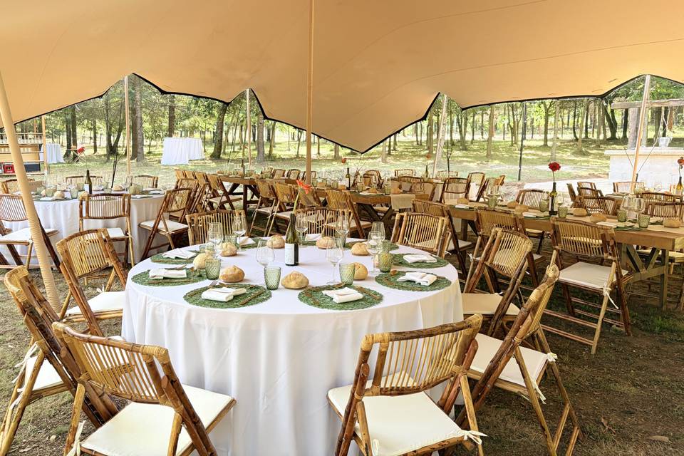 Carpa beduina