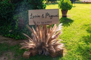 Oh Pollito!