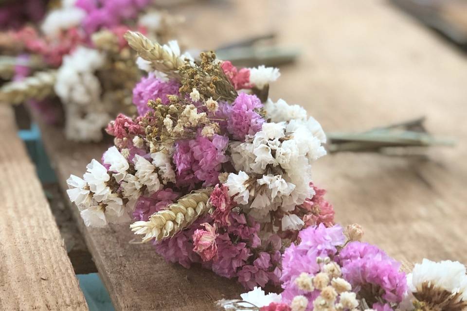 Preservadas para invitadas