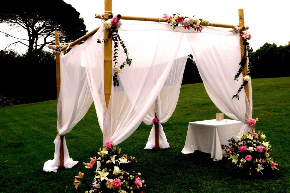 Carpas para eventos