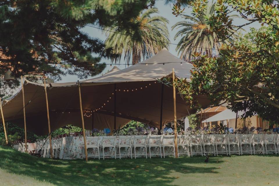 Carpa en el jardín