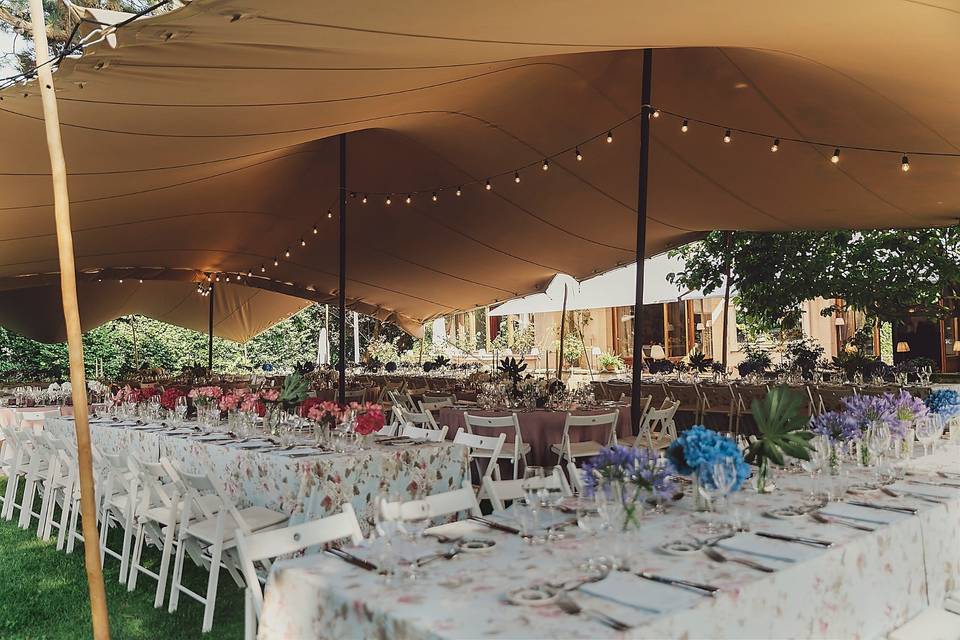 Carpa en el jardín