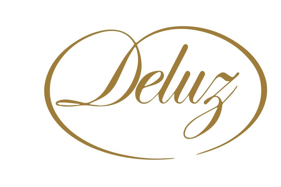 Logo Deluz