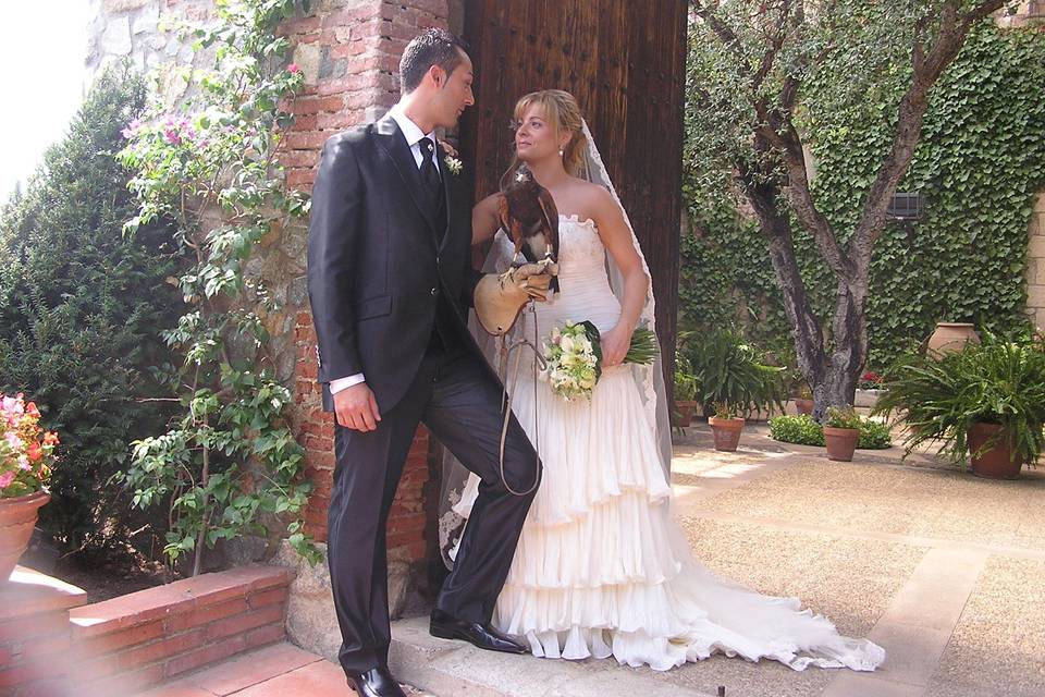 Cetrería para bodas