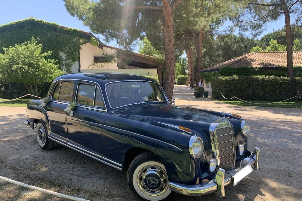 Mercedes Pontón 220S largo