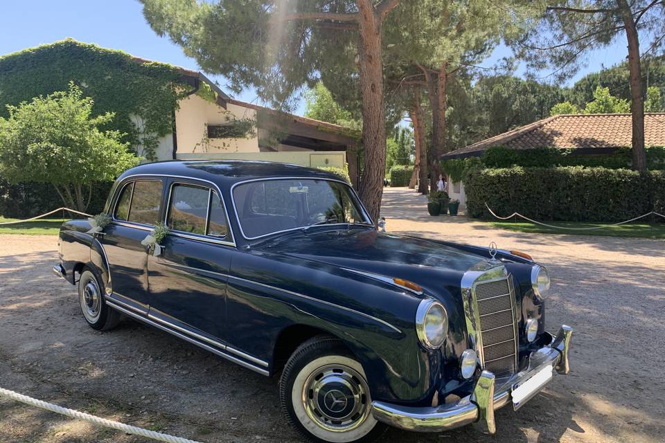 Mercedes Pontón 220S largo