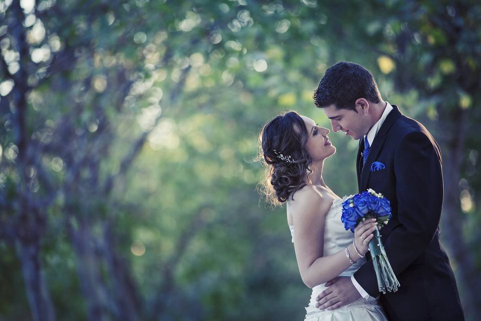 Boda en Villafranca