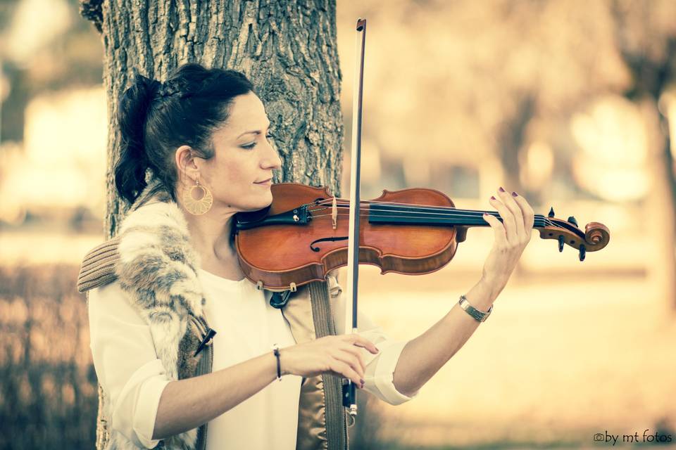 Broken String Quintet