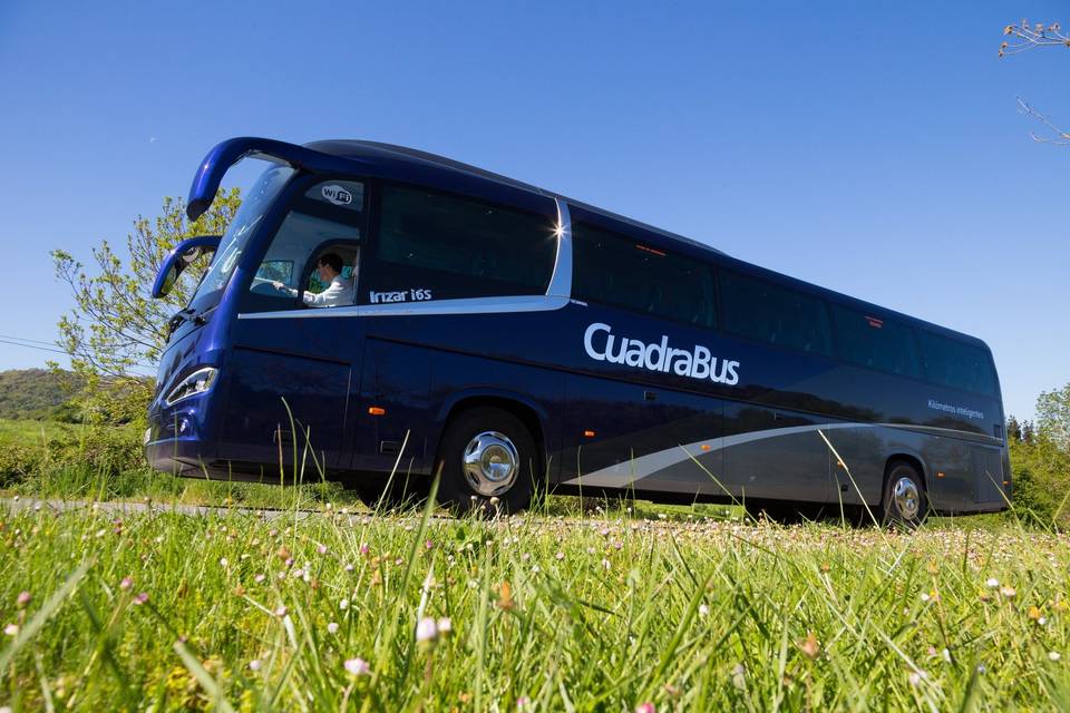 Cuadrabus