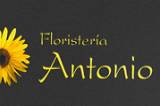 Floristería Antonio