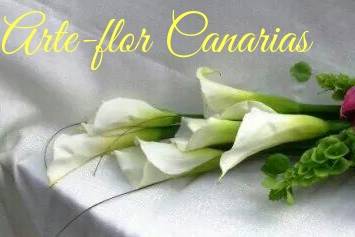 Arte-Flor Canarias
