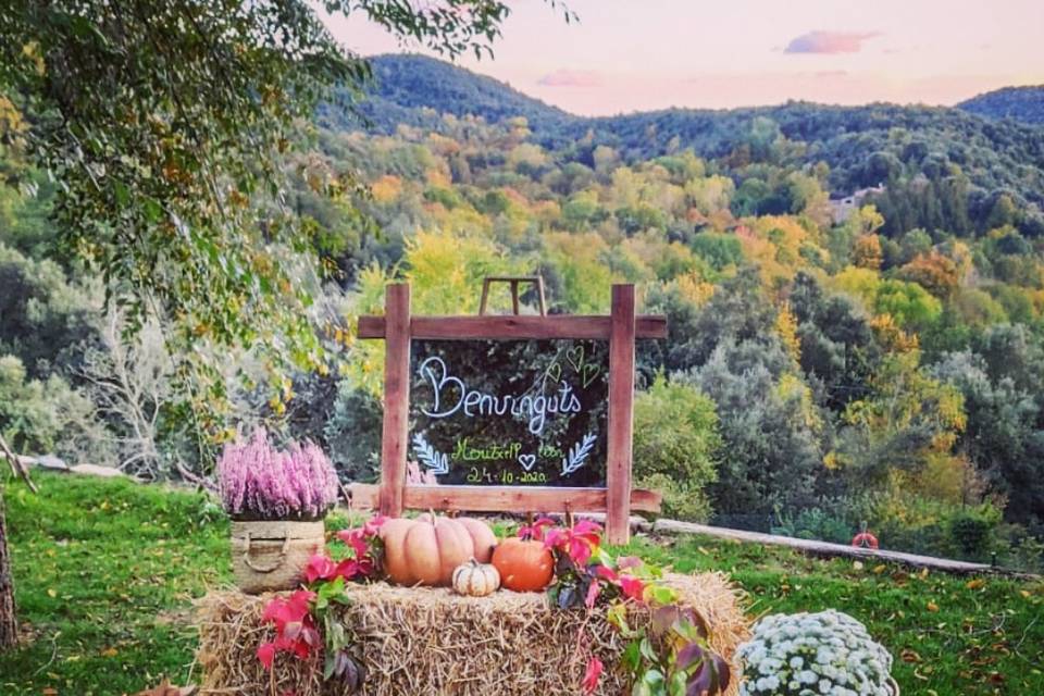 Decoración otoño