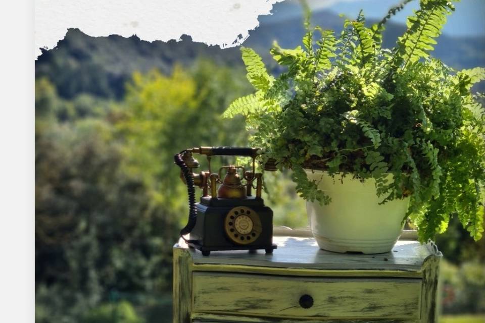 Decoración natura viva
