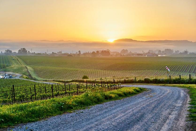 Napa Valley (CA)