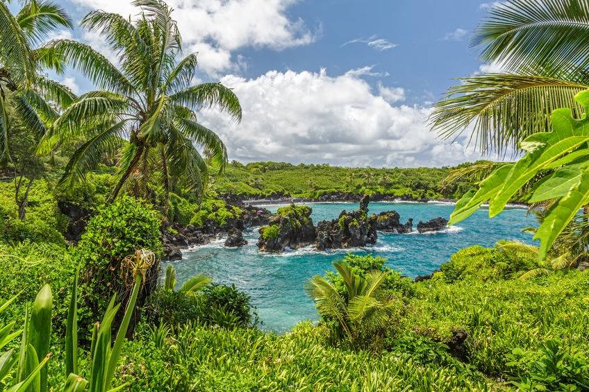 Waianapanapa State Park (Maui)