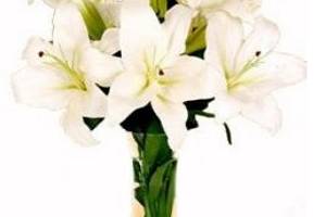 Ramo de flores liliums blancos