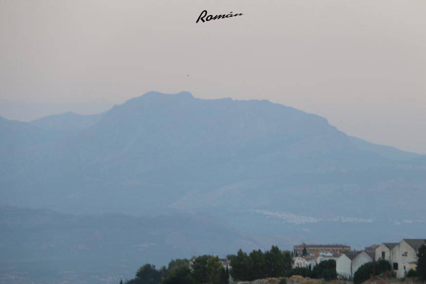 Vistas desde la terraza