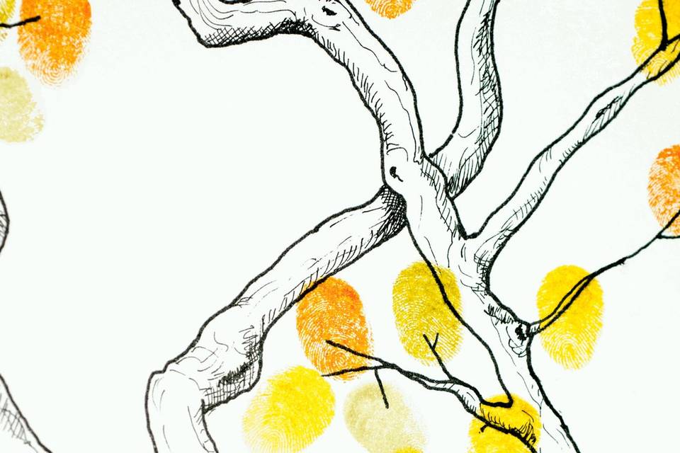 Detalle de diseño