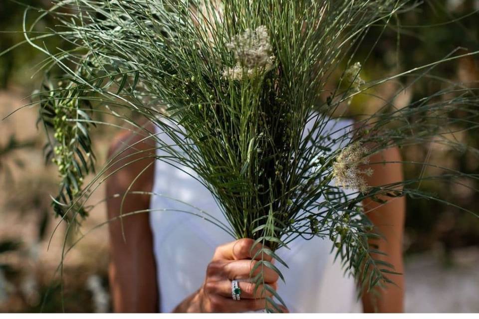 Carpa de banquetes