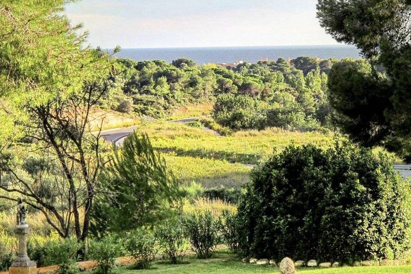 Alrededores