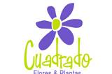 Cuadrado Flores & Plantas