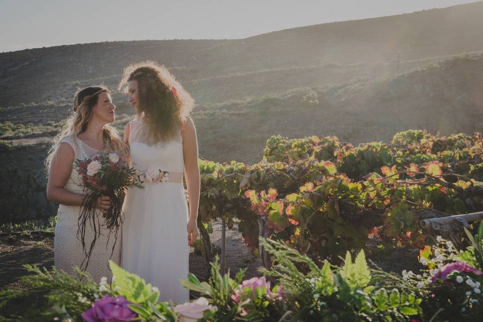 Boda entre viñedos