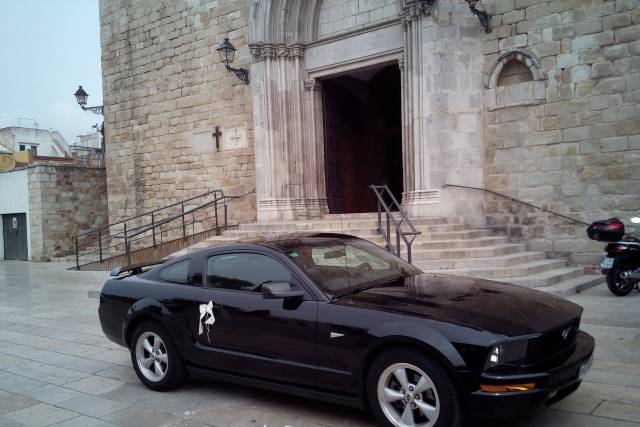 Mustang Rent