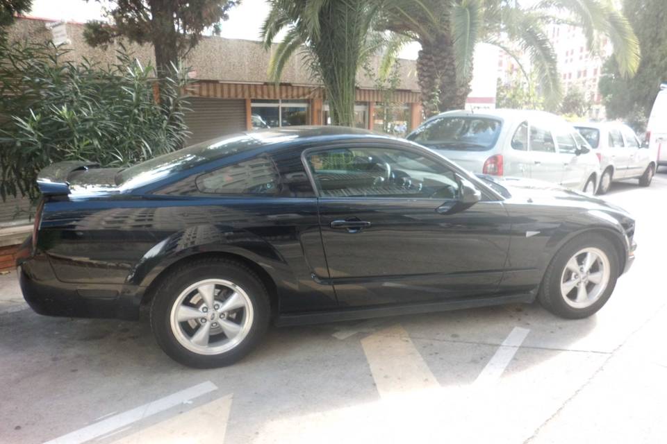 Mustang Rent