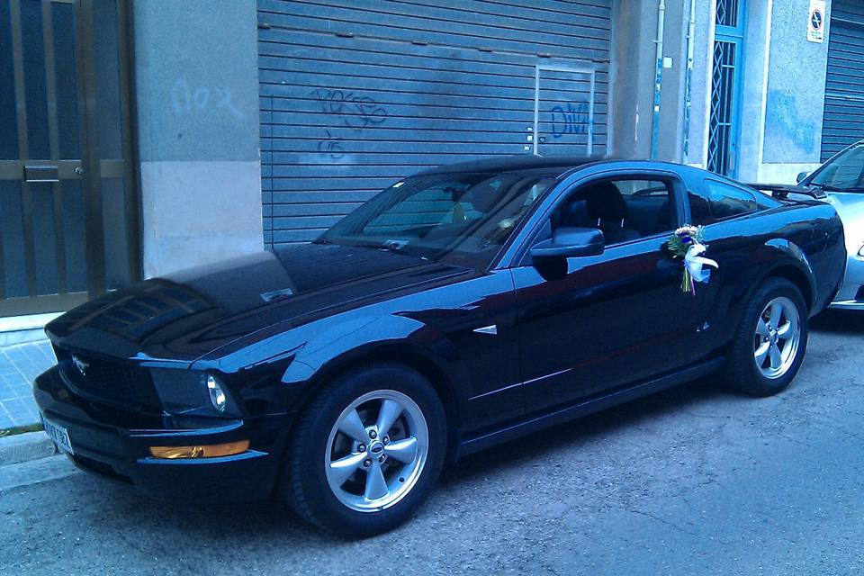 Mustang Rent