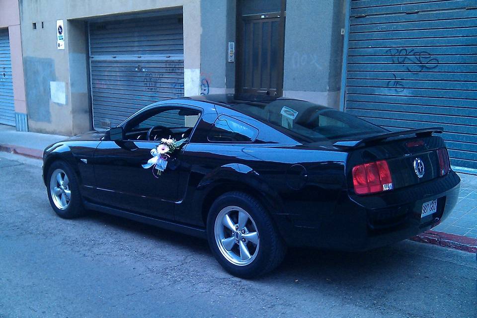 Mustang Rent