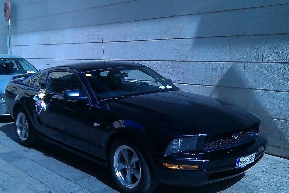 Mustang Rent