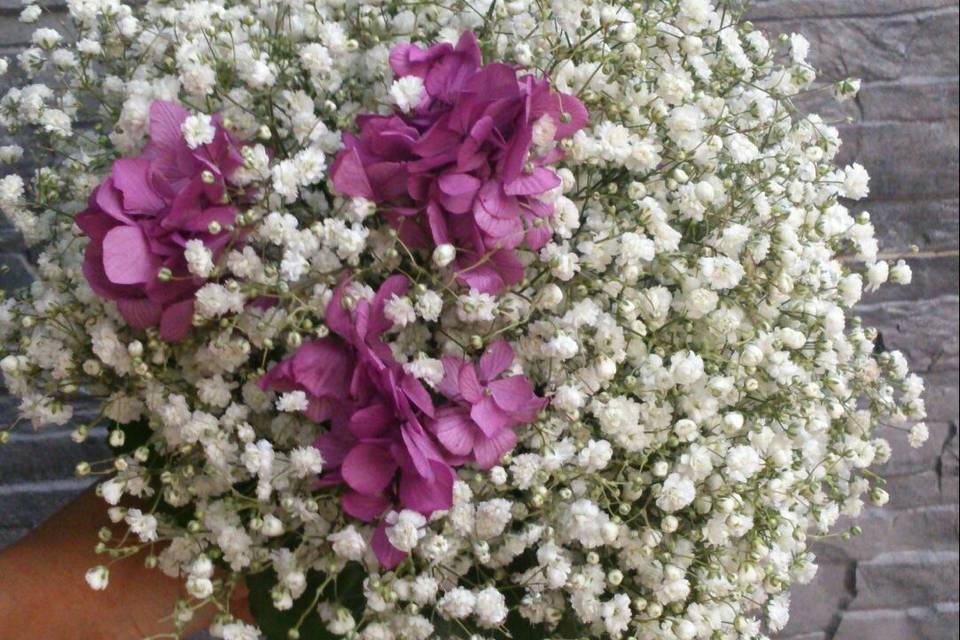 Bouquet de paniculata