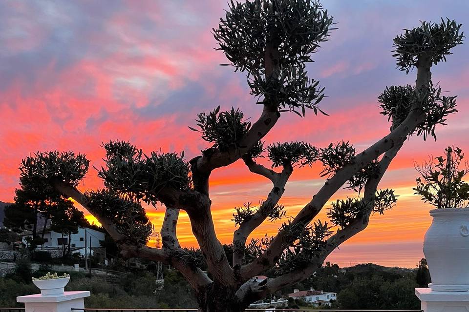 Vistas al atardecer