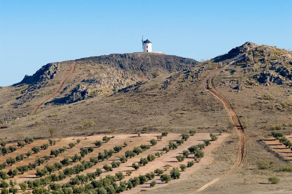 Sierra La Solana