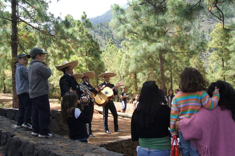 Mariachi América